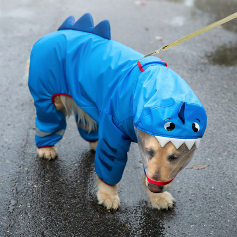 Capa de chuva para animais de estimação de desenho animado repelente de água em folha de lótus